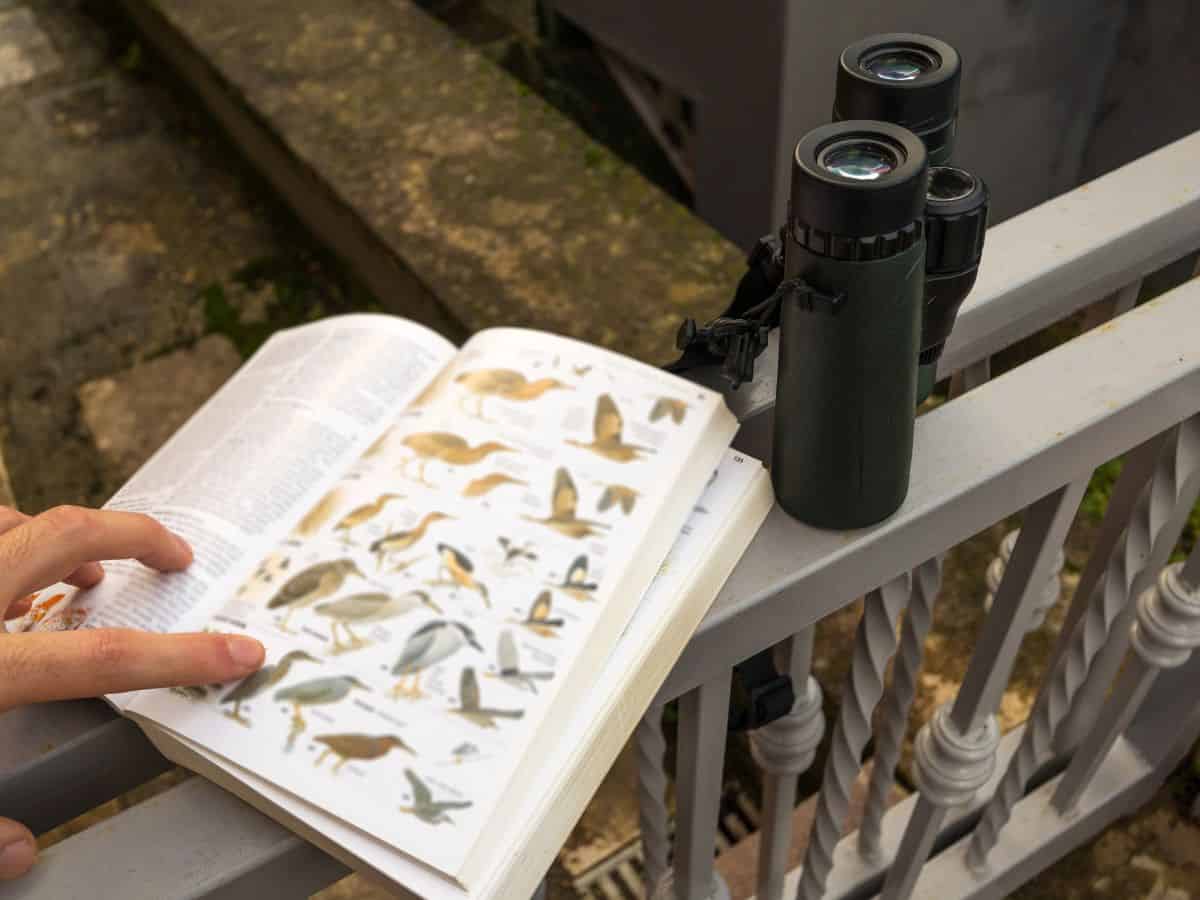 A hand points to a bird on a page with illustrations of various birds.