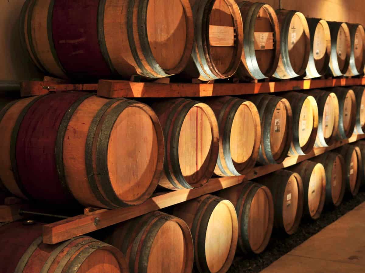 stacks of wine barrels line a wall