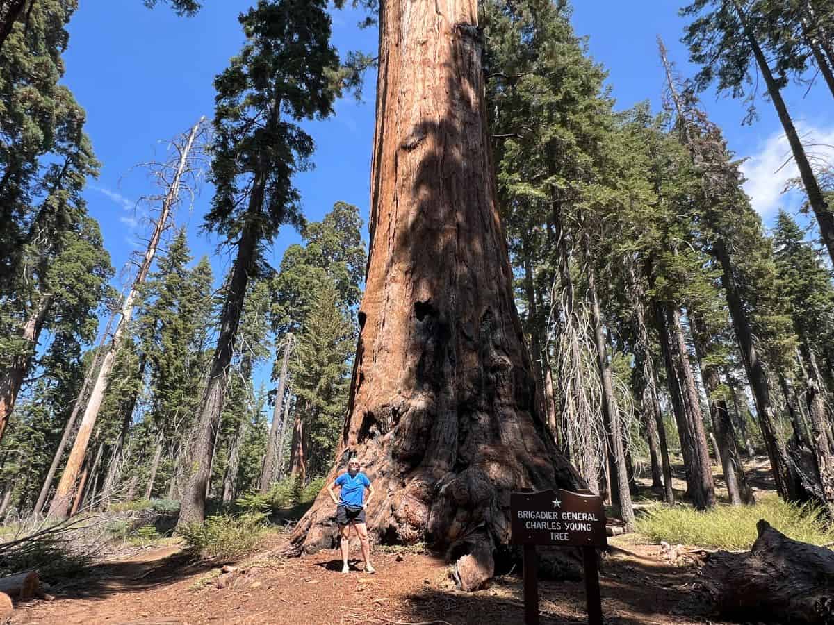 A woman stands next to the Charles Young Tree
