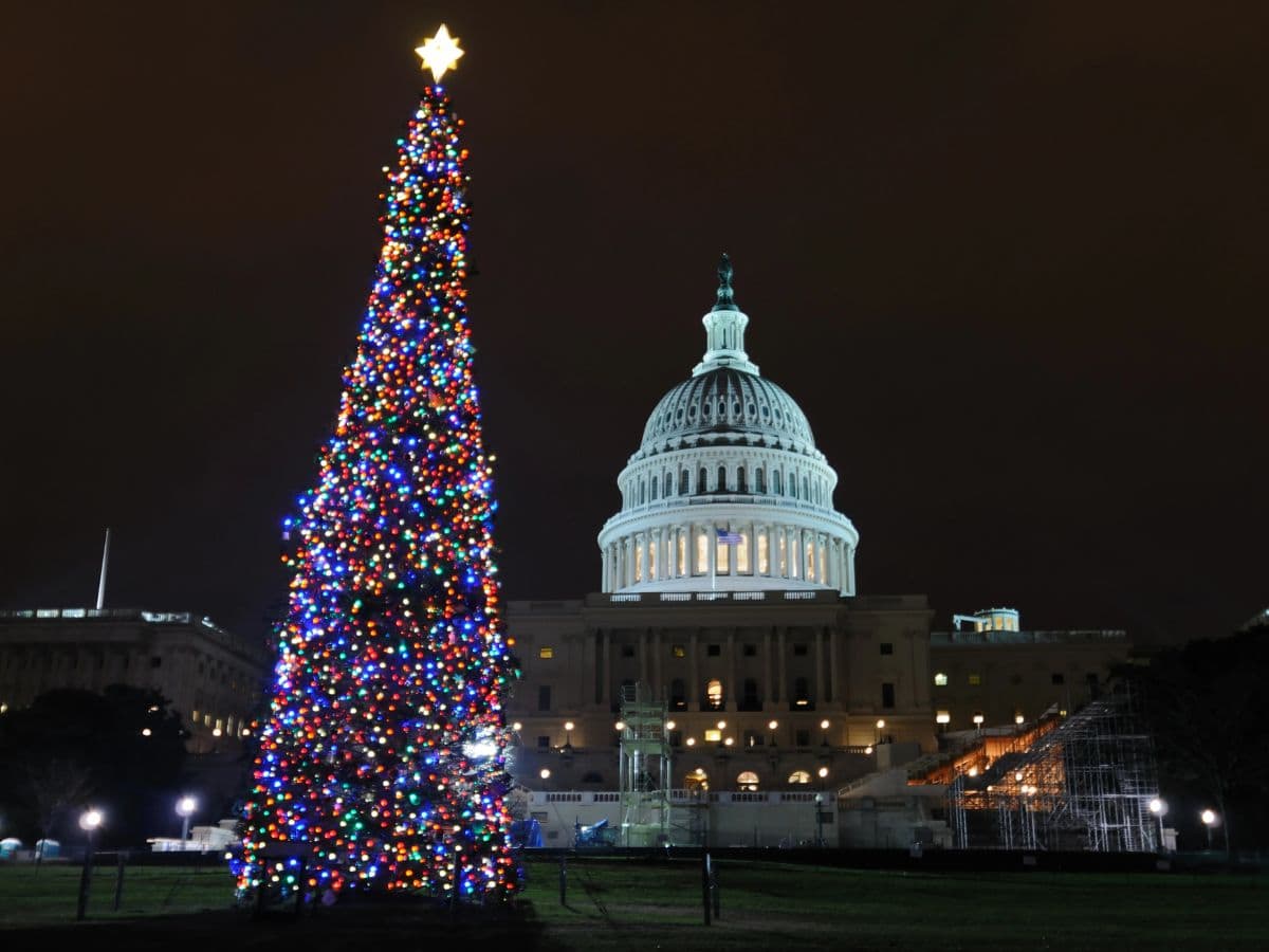 A Christmas tree with colorful lights stands near the U.S. Capitol.