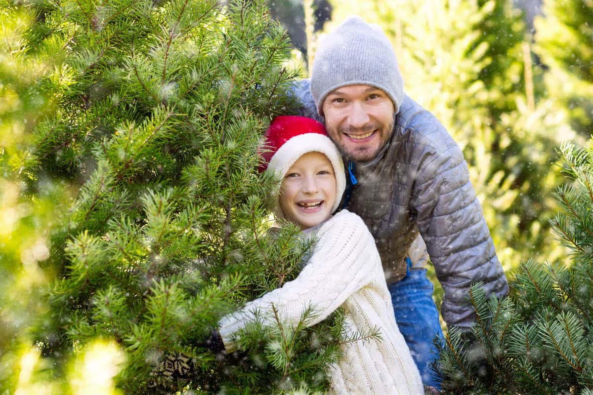 A father and his child smile while searching for a Christmas tree at a tree farm.