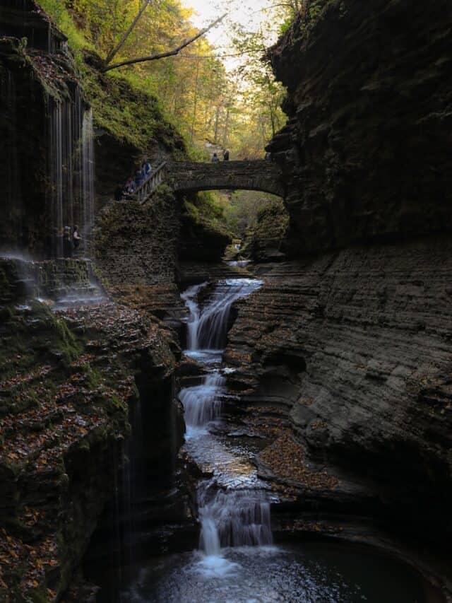 a small waterfall in the middle of a forest