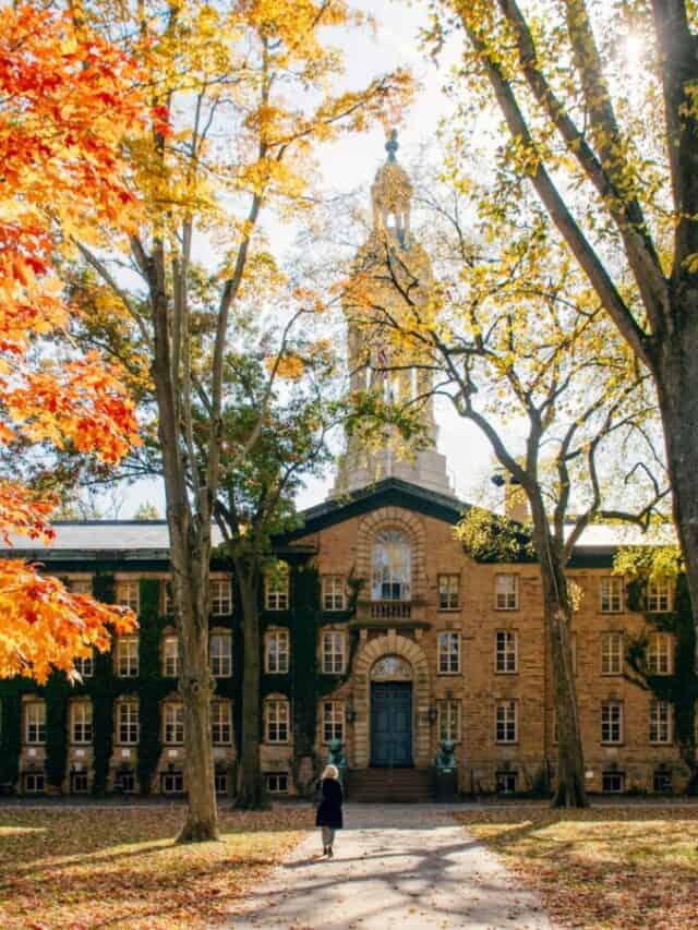 Where are the BEST College Towns?