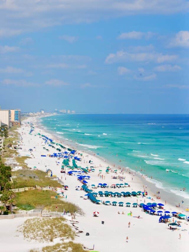 people on beach during daytime