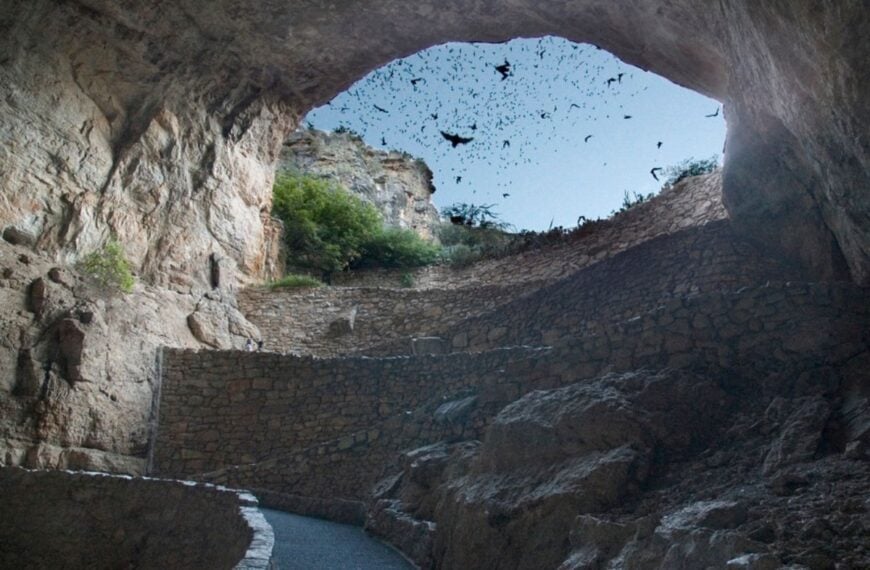 Bats fly out of the cave entrance at Carlsbad Caverns National Park