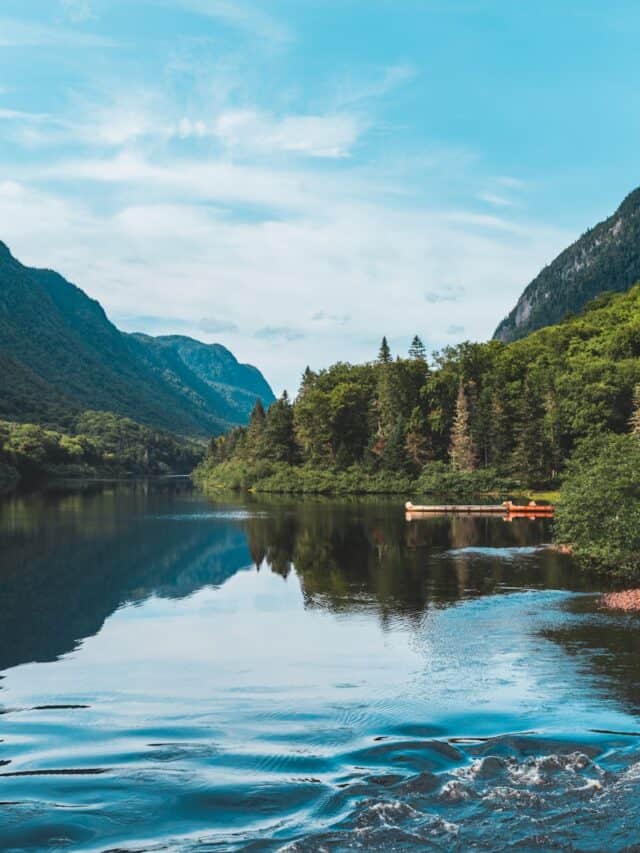 lake and trees