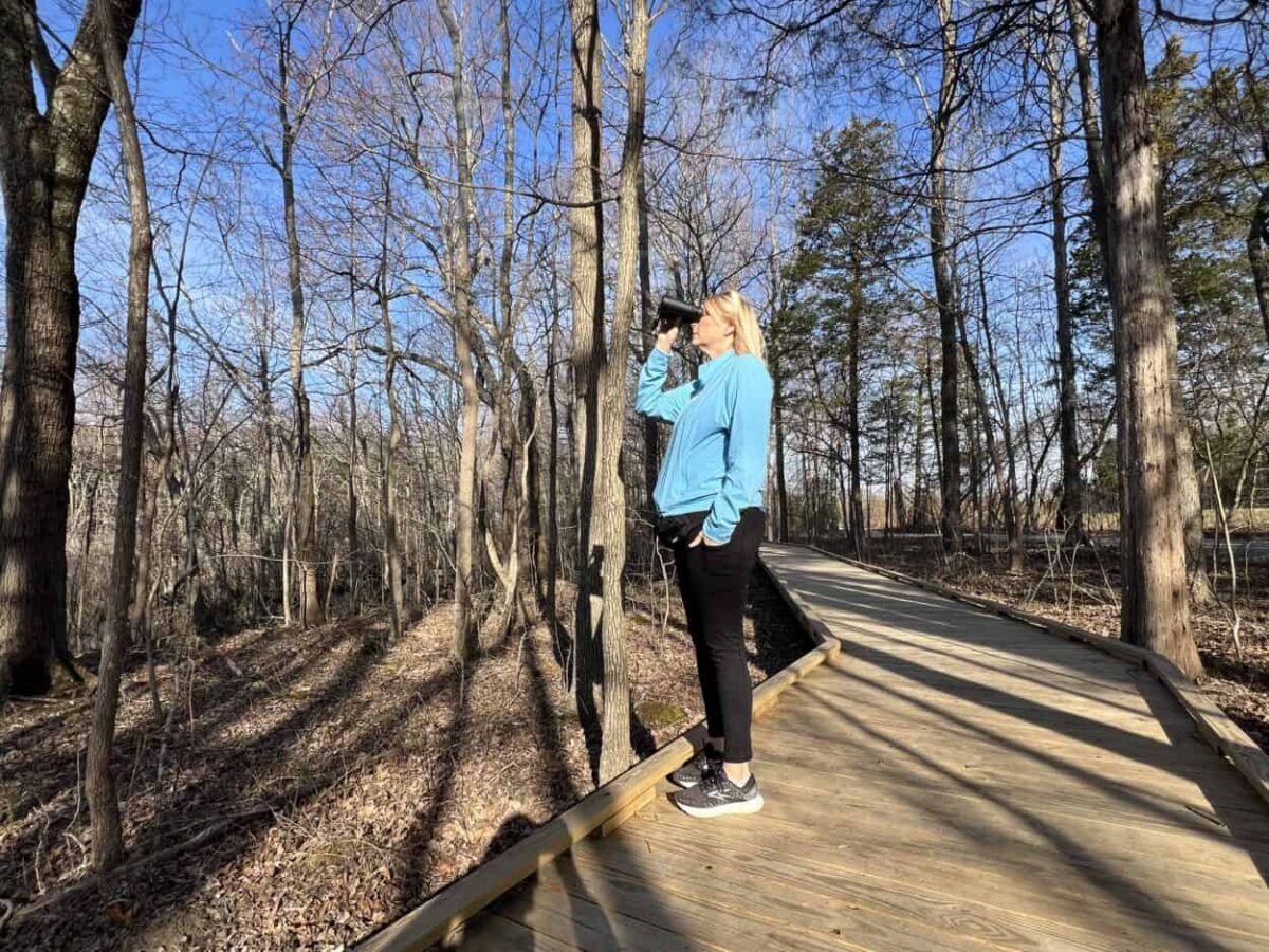 A woman stands on a boardwalk trail in the forest looking through binoculars trying to spot birds.