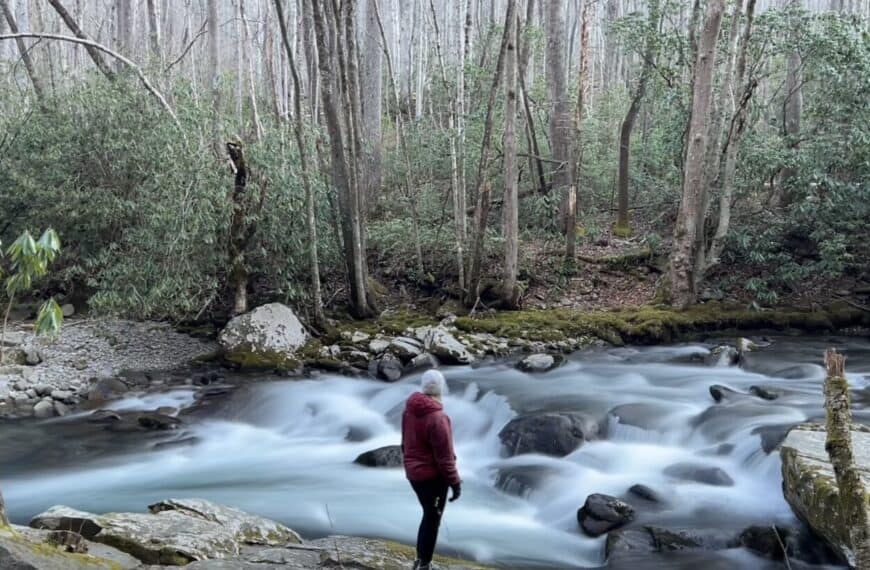 A woman states at a rushing river in the Smokies