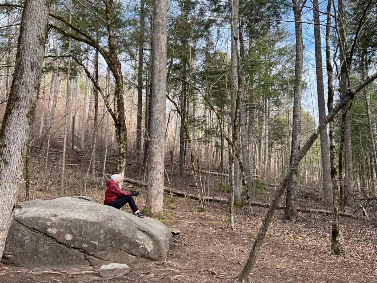 A woman in a maroon coat sits on a large rock in the forest in the Smokies