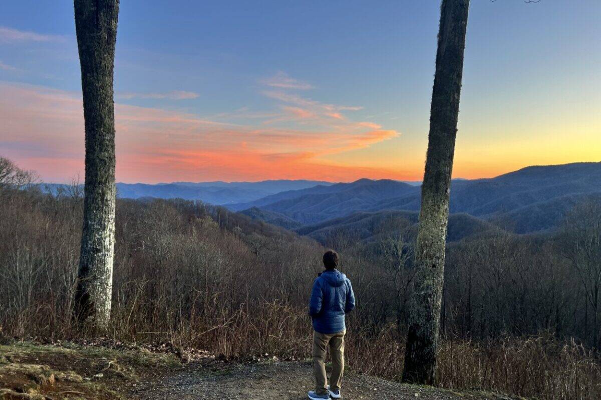 A man stands between two trees and looks ahead at mountains during sunset
