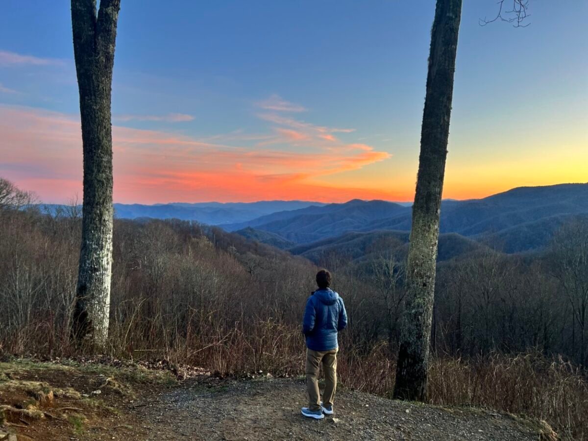 A man stands between two trees and looks ahead at mountains during sunset