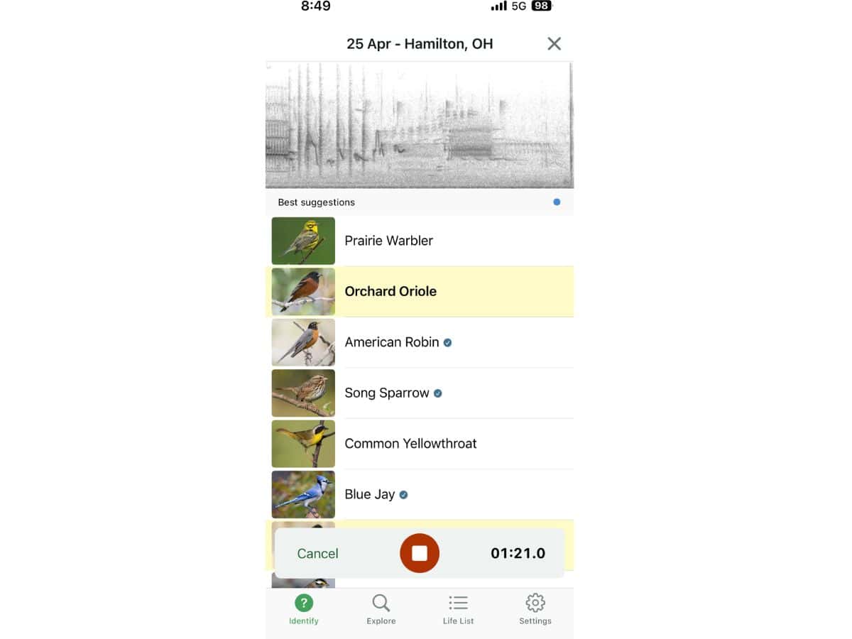 A phone screen shows various bird species.