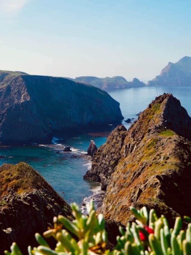 green grass on mountain near body of water during daytime