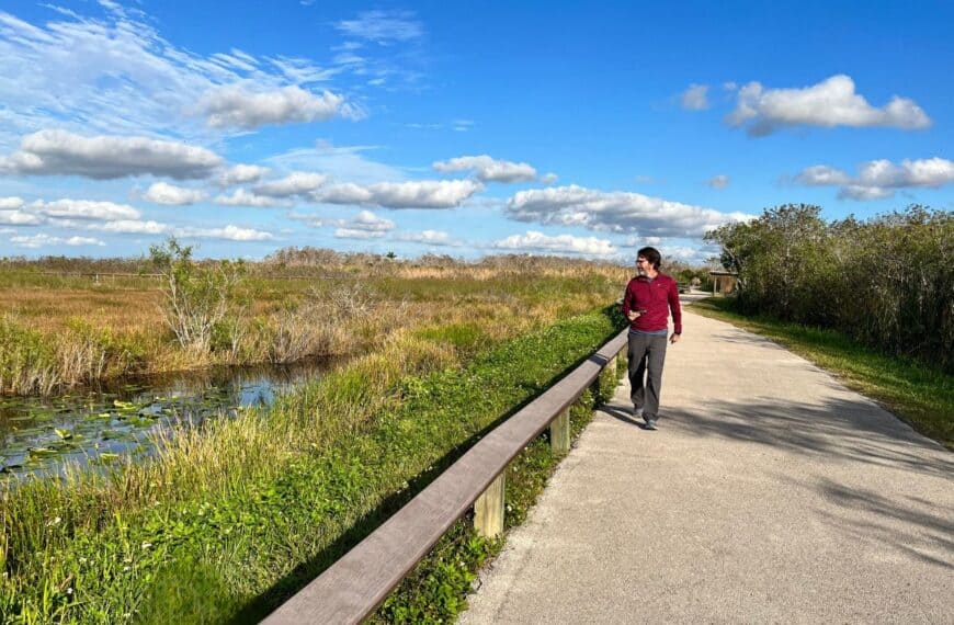 A man hikes a paved path in the Everglades