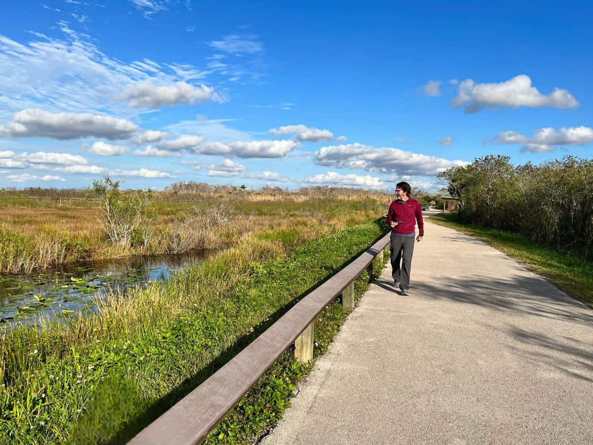 A man hikes a paved path in the Everglades