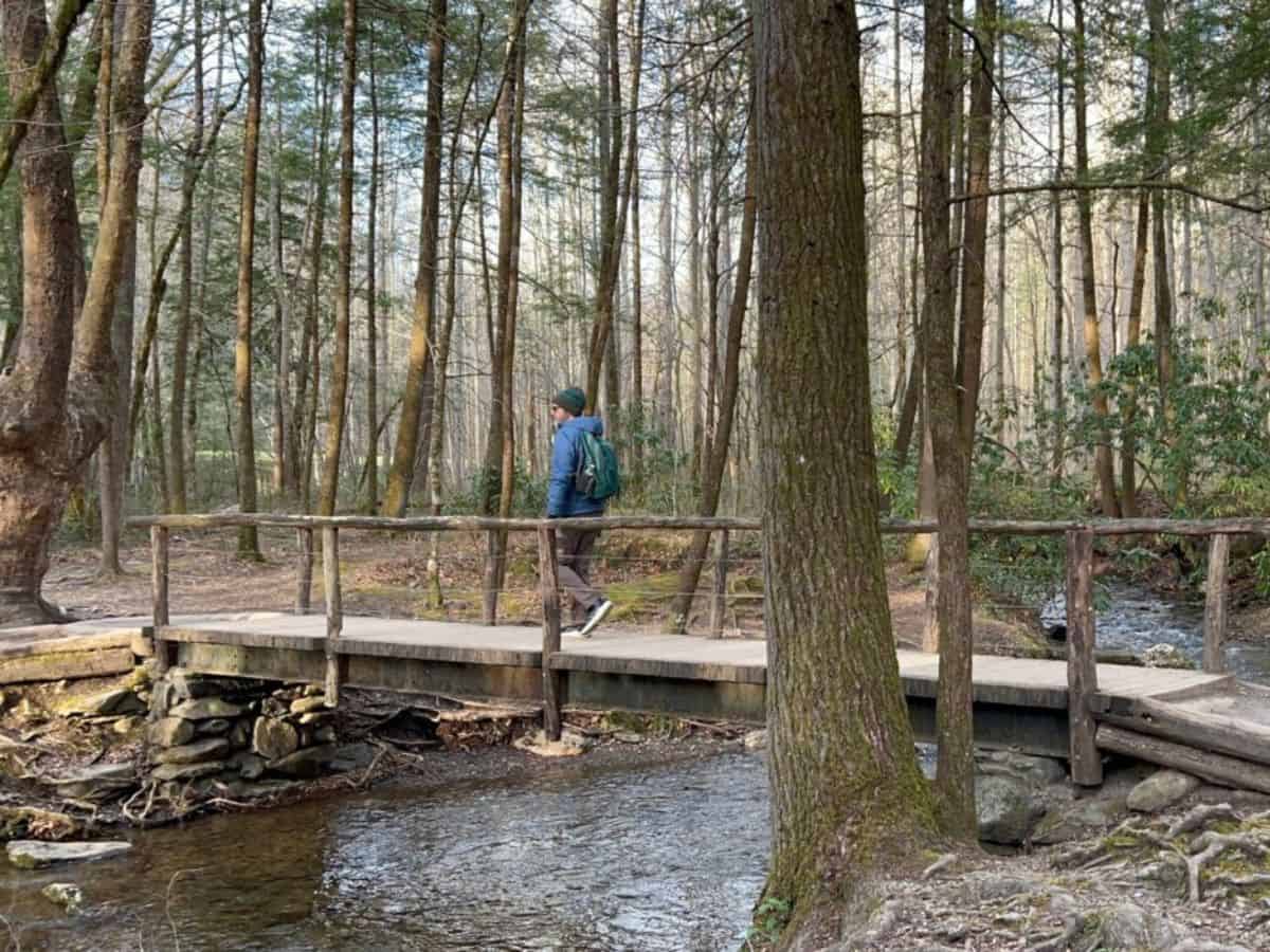 A man in a blue coat crosses a stream on a footbridge in the forest.