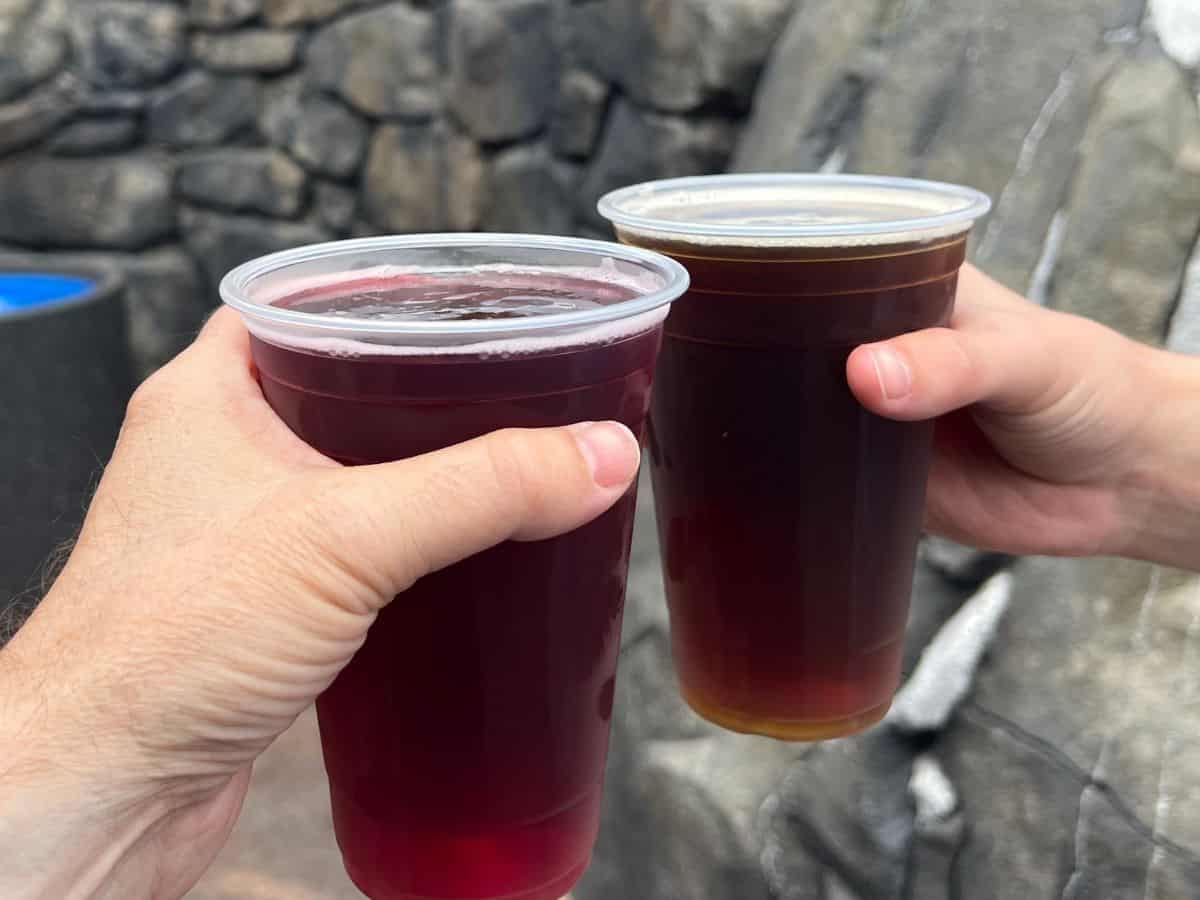 A hand on the left holds a purple drink and a hand on the right holds a dark brown ale.