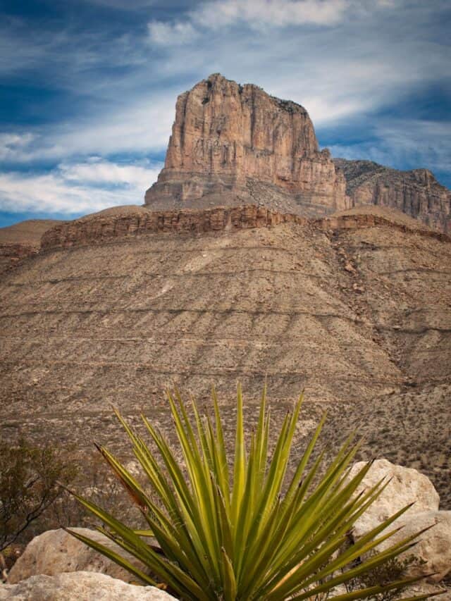8 Reasons to Explore Guadalupe Mountains National Park