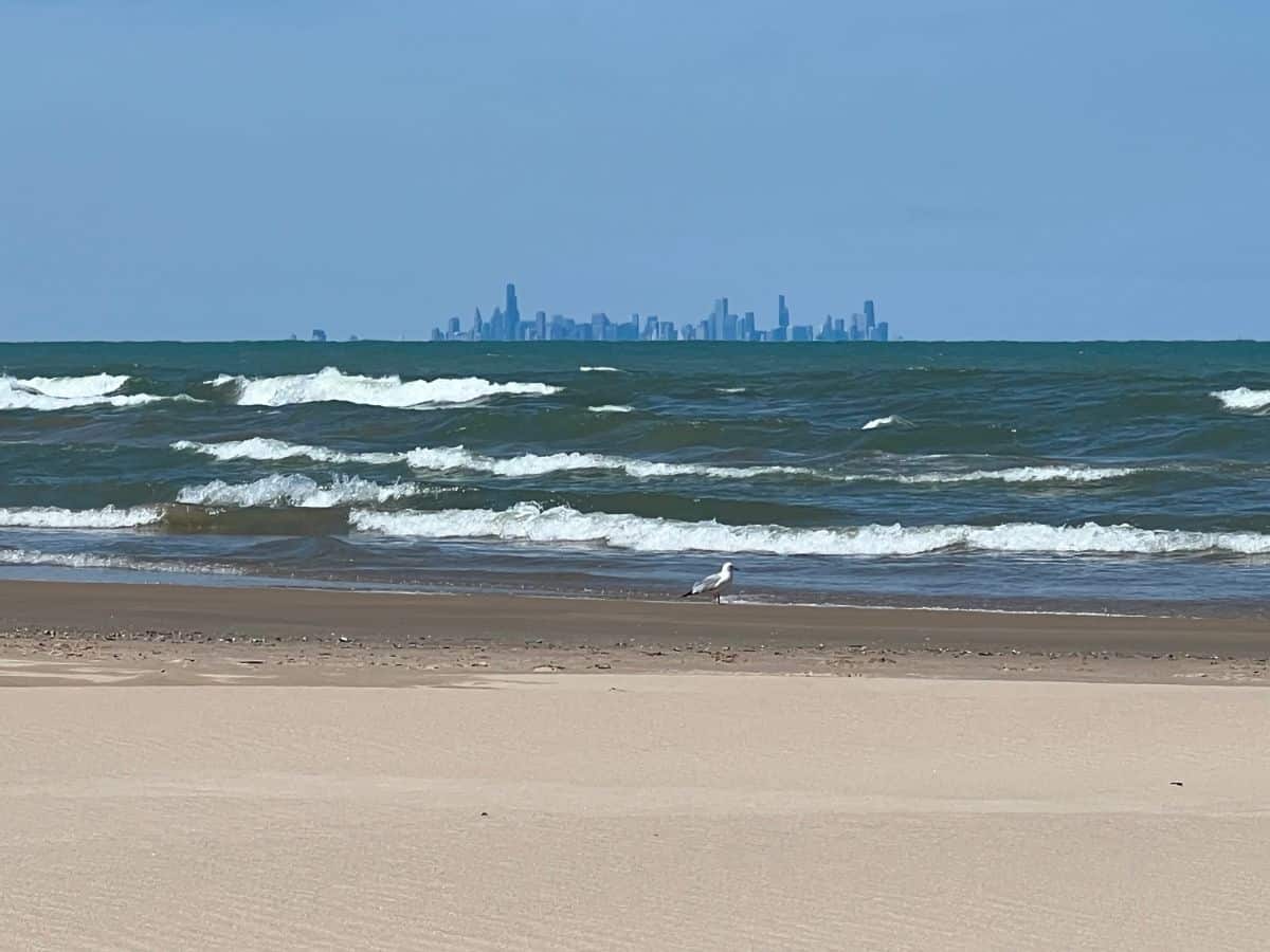 A gull walks along the beach as waves roll ashore, and the Chicago skyline looms on the horizon.