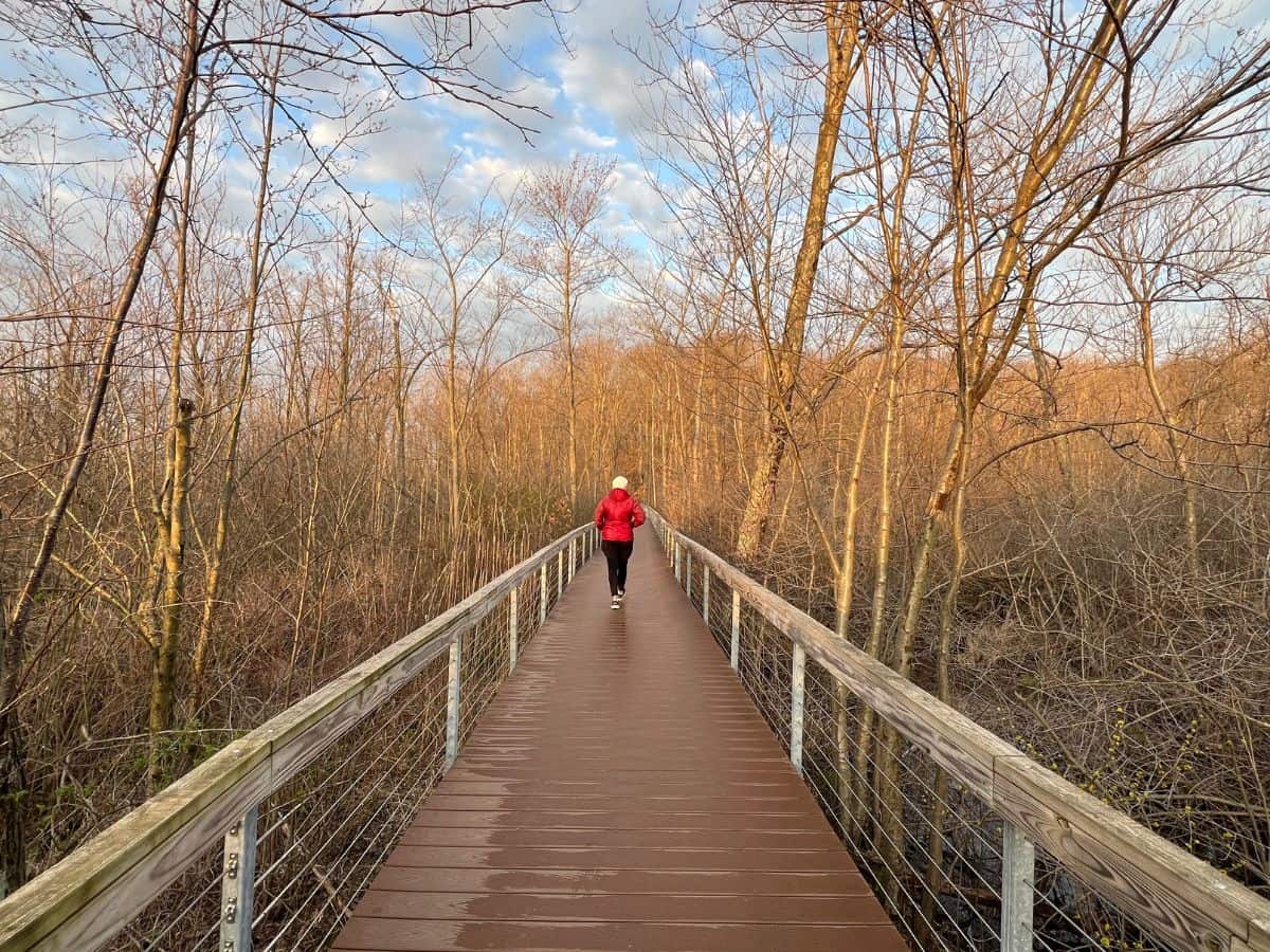 A woman walks across a long footbridge in Indiana Dunes National Park, near Lake Michigan.