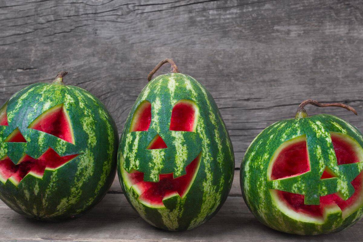 Carved watermelons or jack-o-melons are a tradition for celebrating Summerween - Halloween in summer