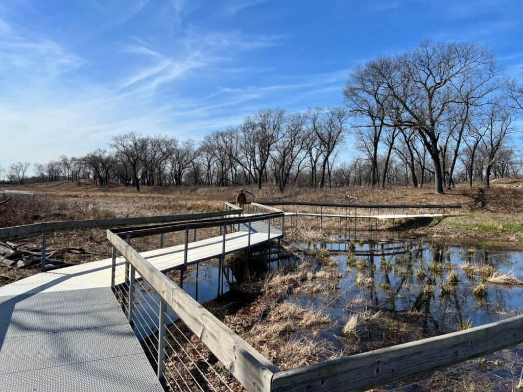A man walks along a zigzag boardwalk section on the Paul H. Douglas Trail, Miller Woods, Indiana Dunes National Park.