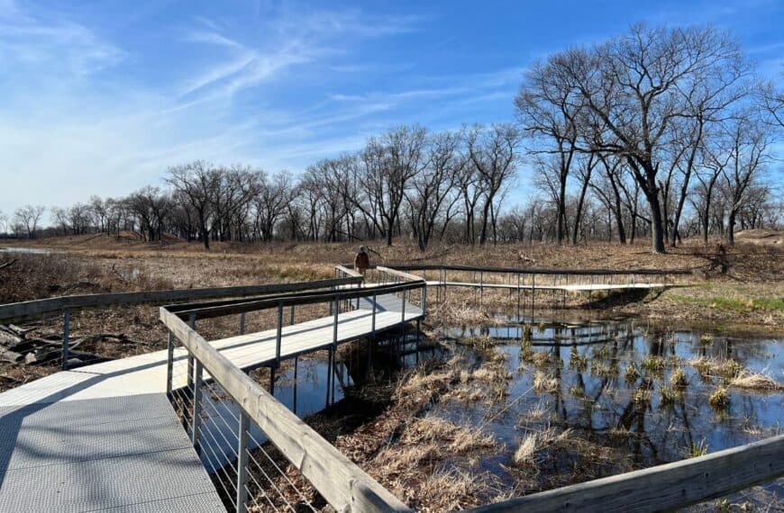 A man walks along a zigzag boardwalk section on the Paul H. Douglas Trail, Miller Woods, Indiana Dunes National Park.