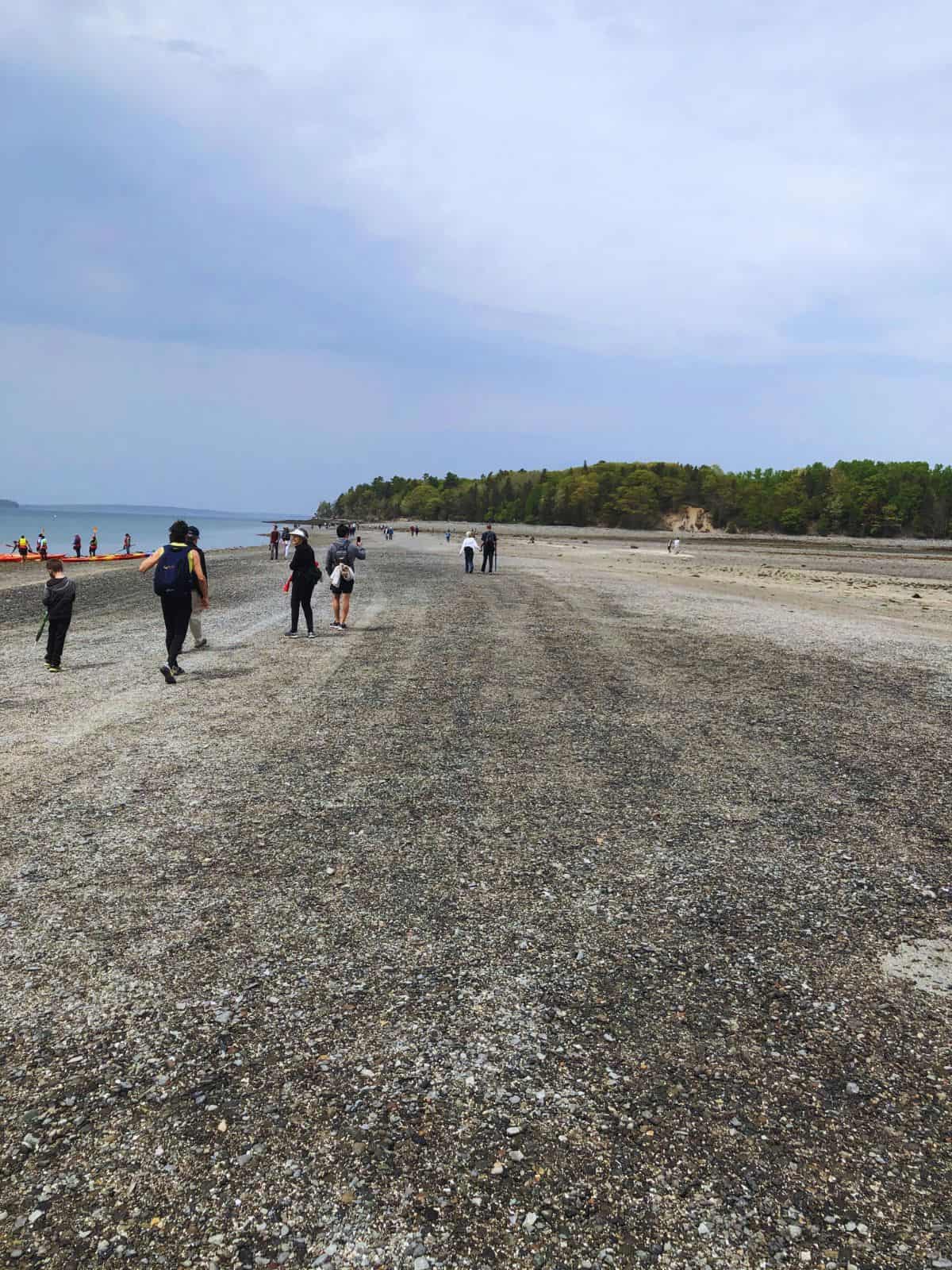 Visitors walk across a land bridge to Bar Island - one of the best things to do in Acadia National Park
