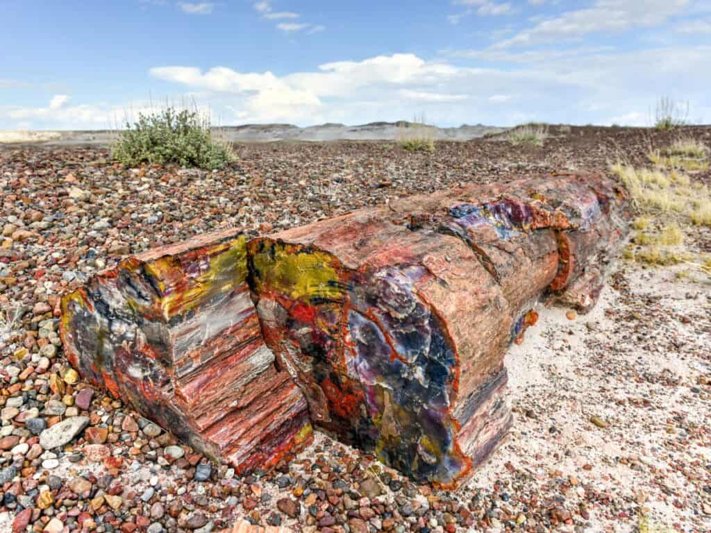 A stone log in Petrified Forest National Park showcases colorful crystals