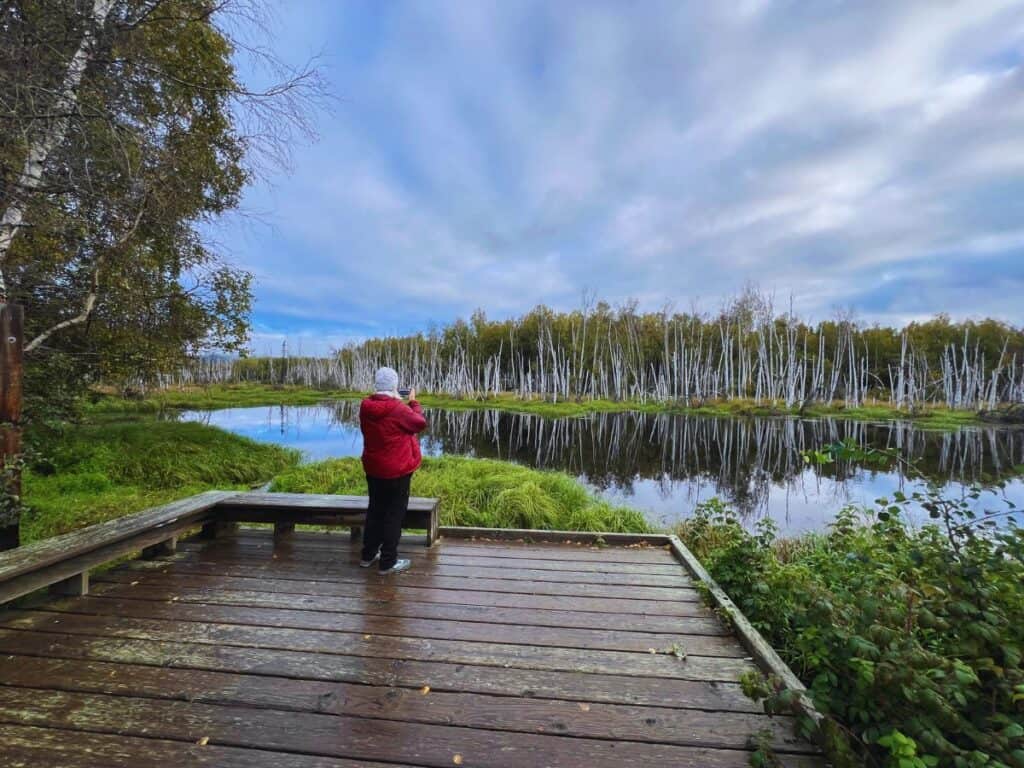 A woman takes a picture of a mirror image of trees reflecting on the water's surface at Creamer's Field
