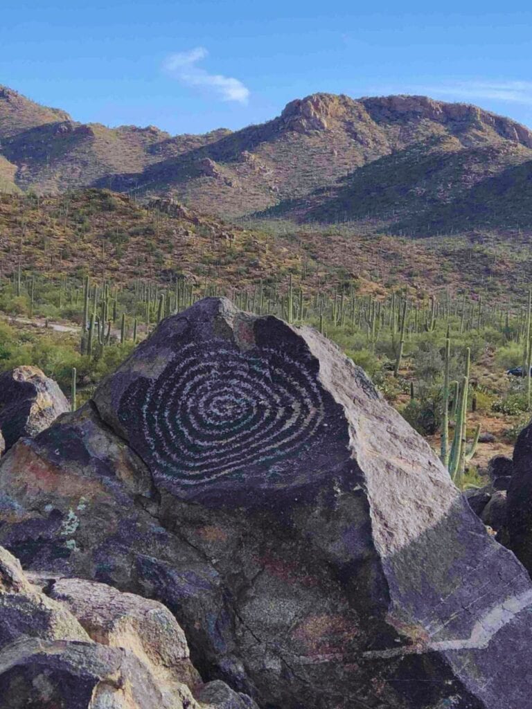 A rock displays a spiral petroglyph with tall cacti and mountains in the background in Saguaro National Park West, AZ