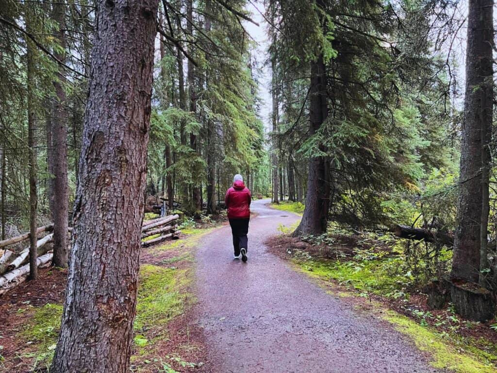 A woman walks a trail lined by trees in Fairbanks, Alaska, near Creamer's Field
