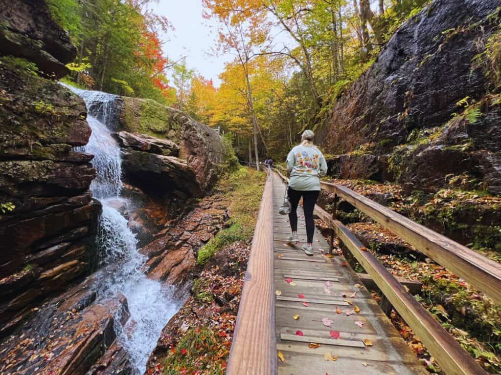 A woman walks up a boardwalk trail, passing a waterfall
