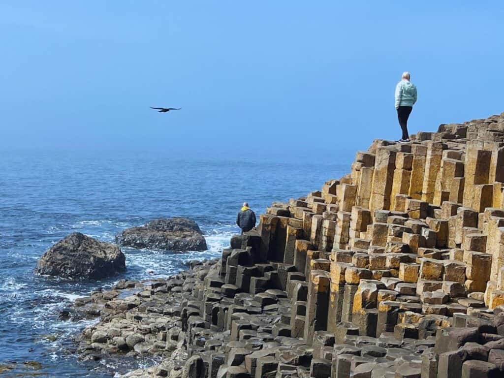 A woman stands atop Giant's Causeway as a bird flies toward the shore