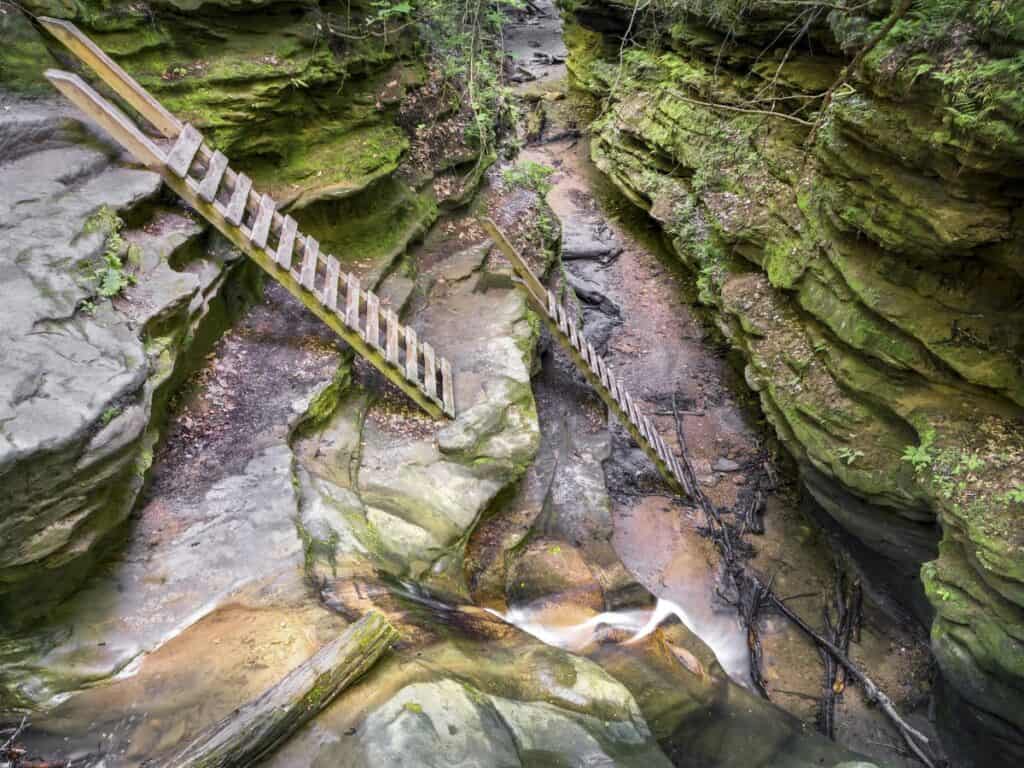 A trail has ladders so hikers can climb up from a canyon floor in Turkey Run State Park, IN