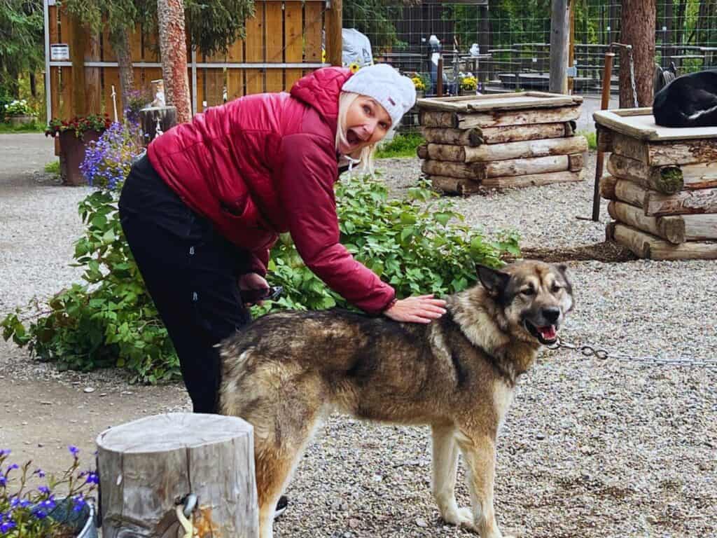 A woman pets a husky in Denali National Park