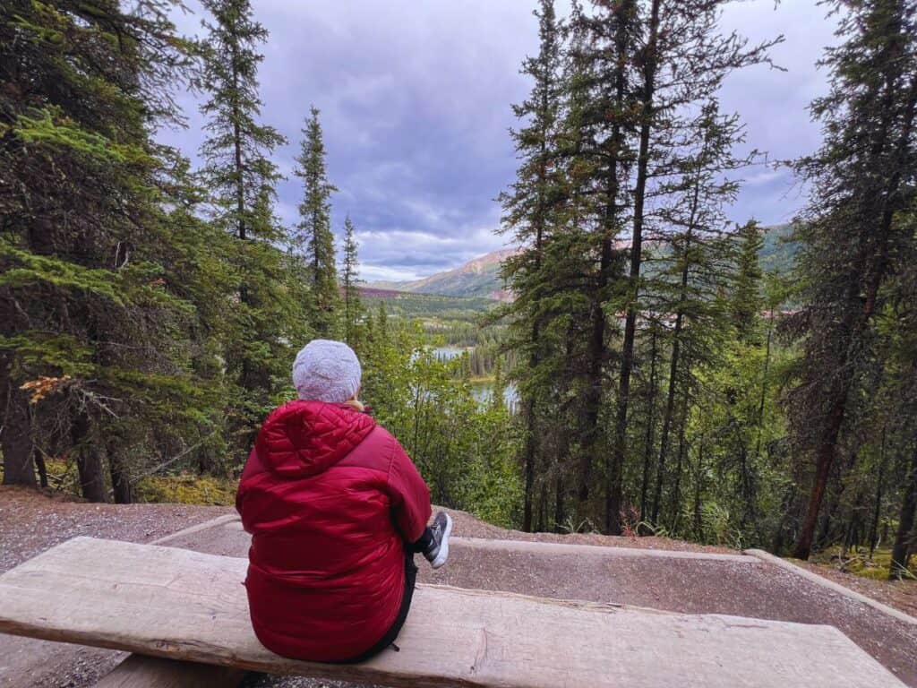Hikers can pause to enjoy the view from a bench seat near the top of Horseshoe Lake Trail, Denali National Park & Preserve