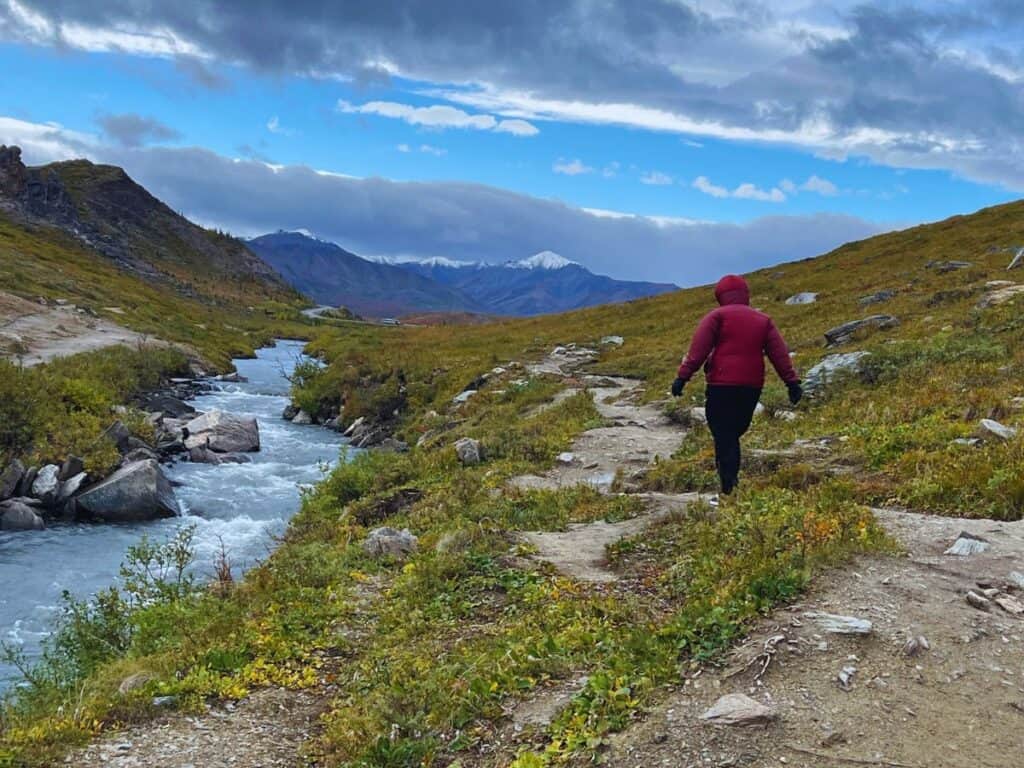 A woman hikes Savage River Loop adjacent to the Savage River