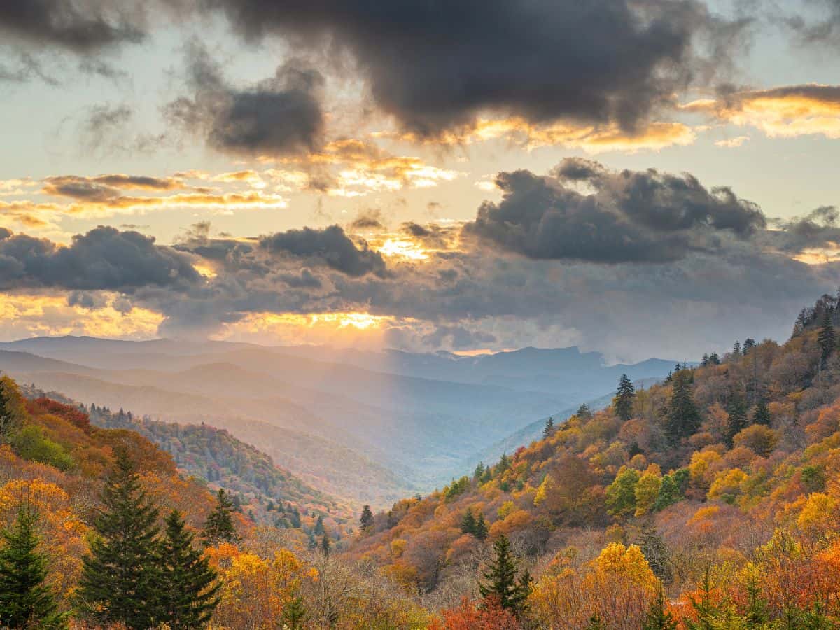 Fall foliage stretches across the Great Smoky Mountains