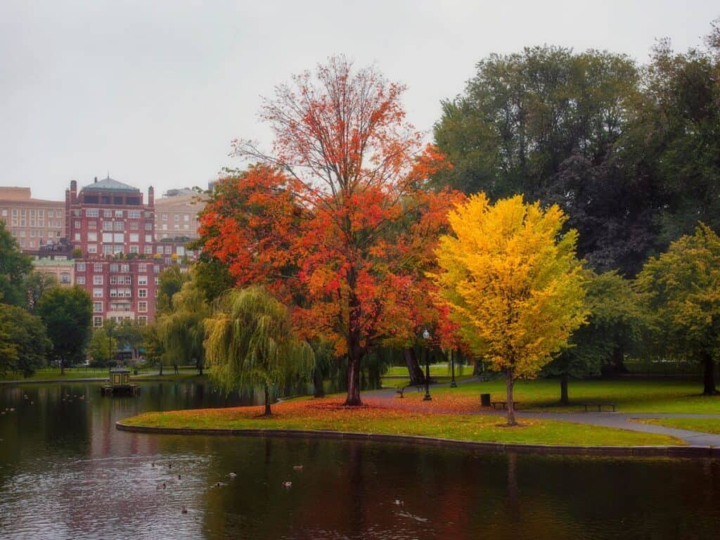 Trees with fall foliage highlight Boston Common on the Freedom Trail in October