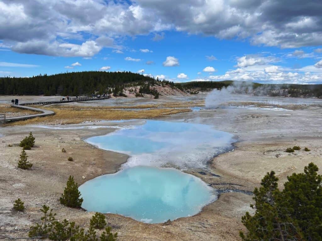Steam rises from turquoise pools in Norris Geyser Basin, Yellowstone National Park.
