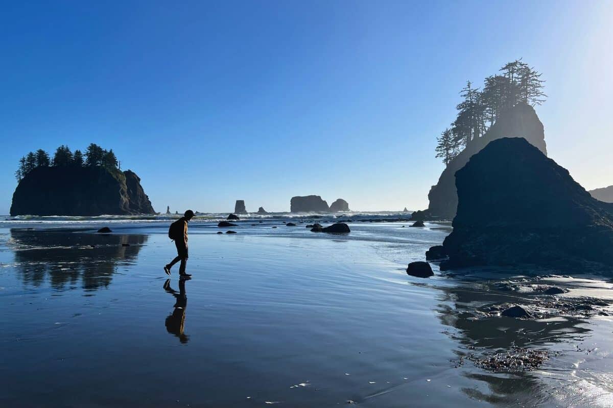 A man walks among sea stacks on a beach in Olympic National Park, WA