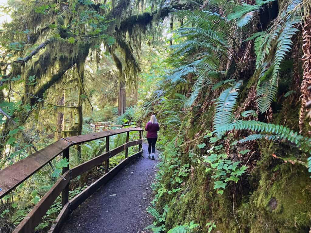 A woman hikes a trail in the Quinault Rain Forest, Washington