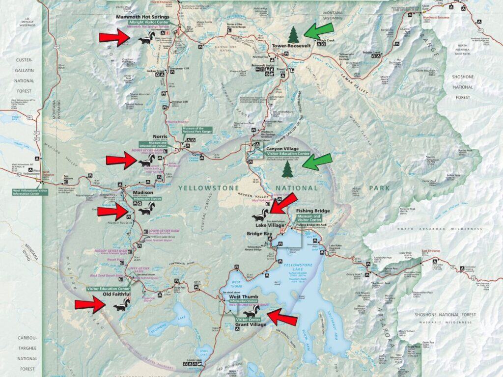 Red arrows and skunk emojis mark areas with a strong sulfur smell in Yellowstone National Park, while green arrows and pine tree emojis note smell-free zones.