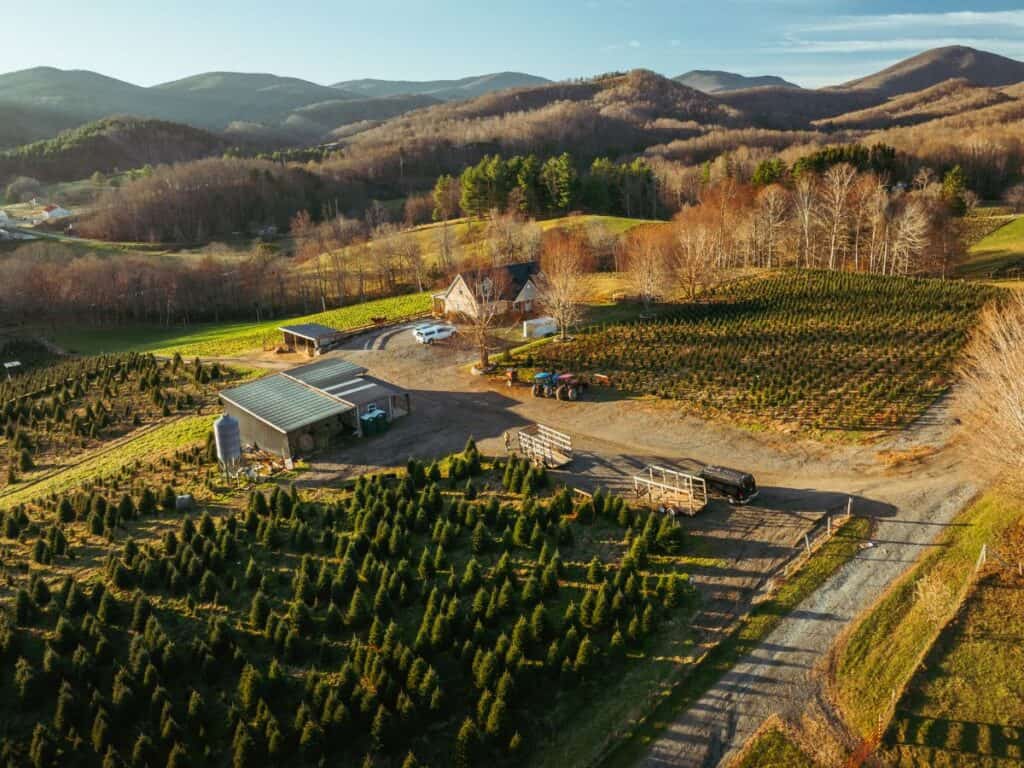 Aerial view of a Christmas tree farm in Western NC.