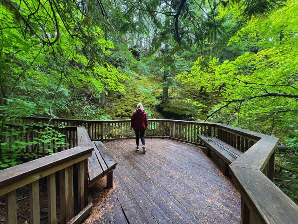 A woman walks a boardwalk trail through a lush forest in North Cascades National Park, WA.