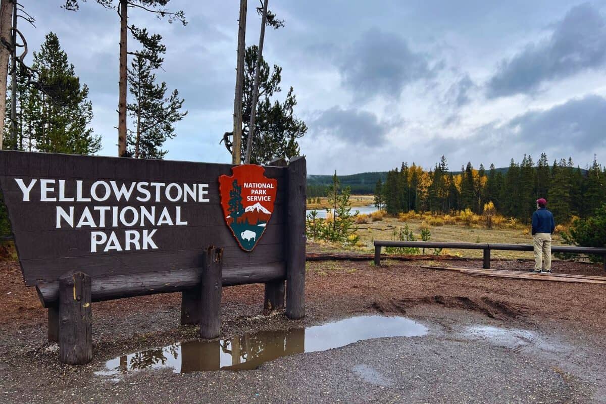 A man soaks in the view of fall foliage at Yellowstone in October.