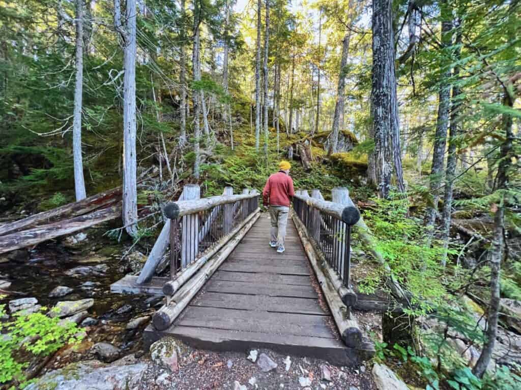 A man hikes a forested trail in North Cascades, WA.