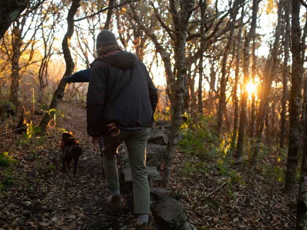 A man and his dog hike a trail during Stick Season in Western North Carolina.