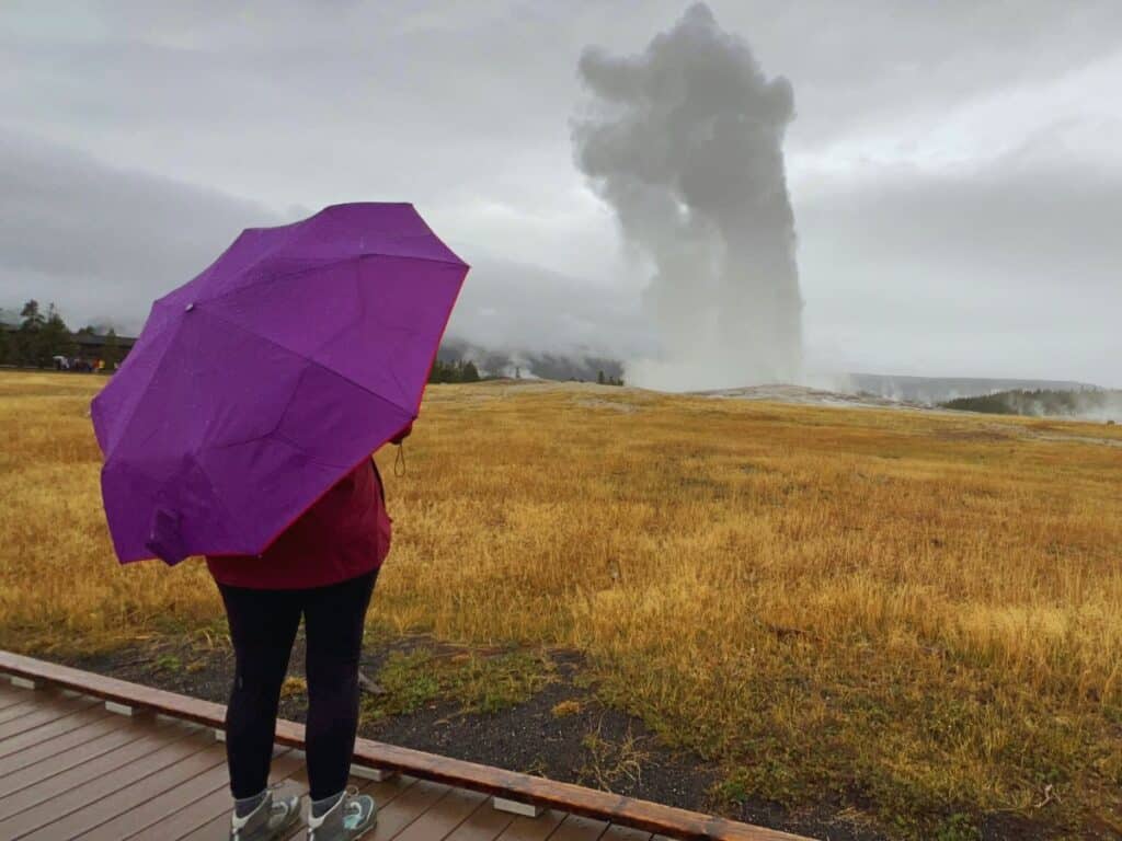 A woman under a purple umbrella watches Old Faithful erupt in the rain